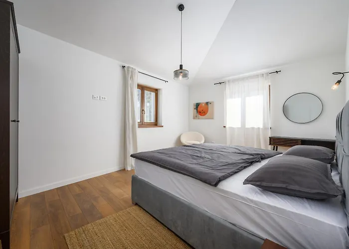Villa Luxury Sofia With Pool And Garage In Porec, Istria Dračevac