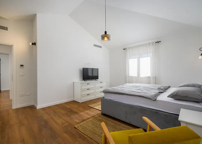 Villa Luxury Sofia With Pool And Garage In Porec, Istria